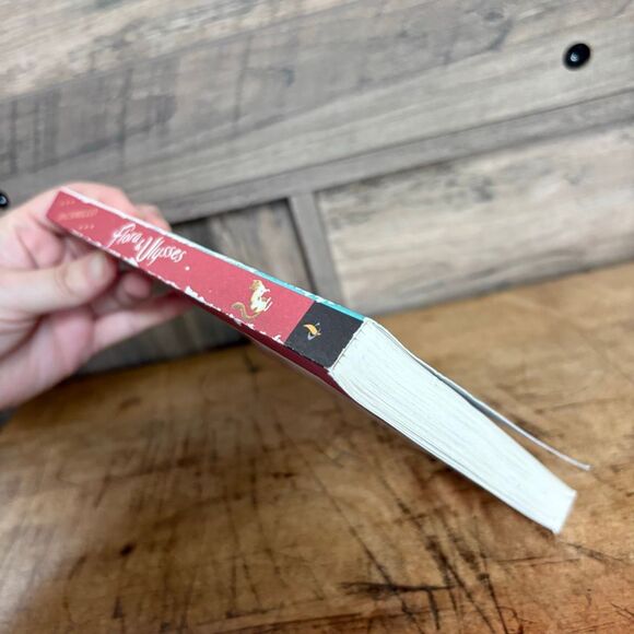 Flora & Ulysses by Kate DiCamillo Paperback Book pre-read see pix for wear - Picture 4 of 8